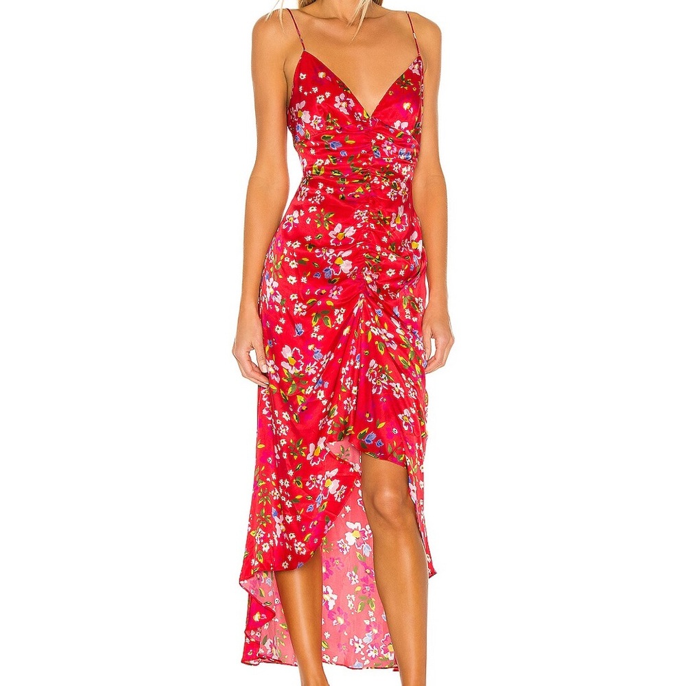 NWT Sau Lee Sofia Dress in red floral